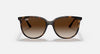 RAYBAN RB4378